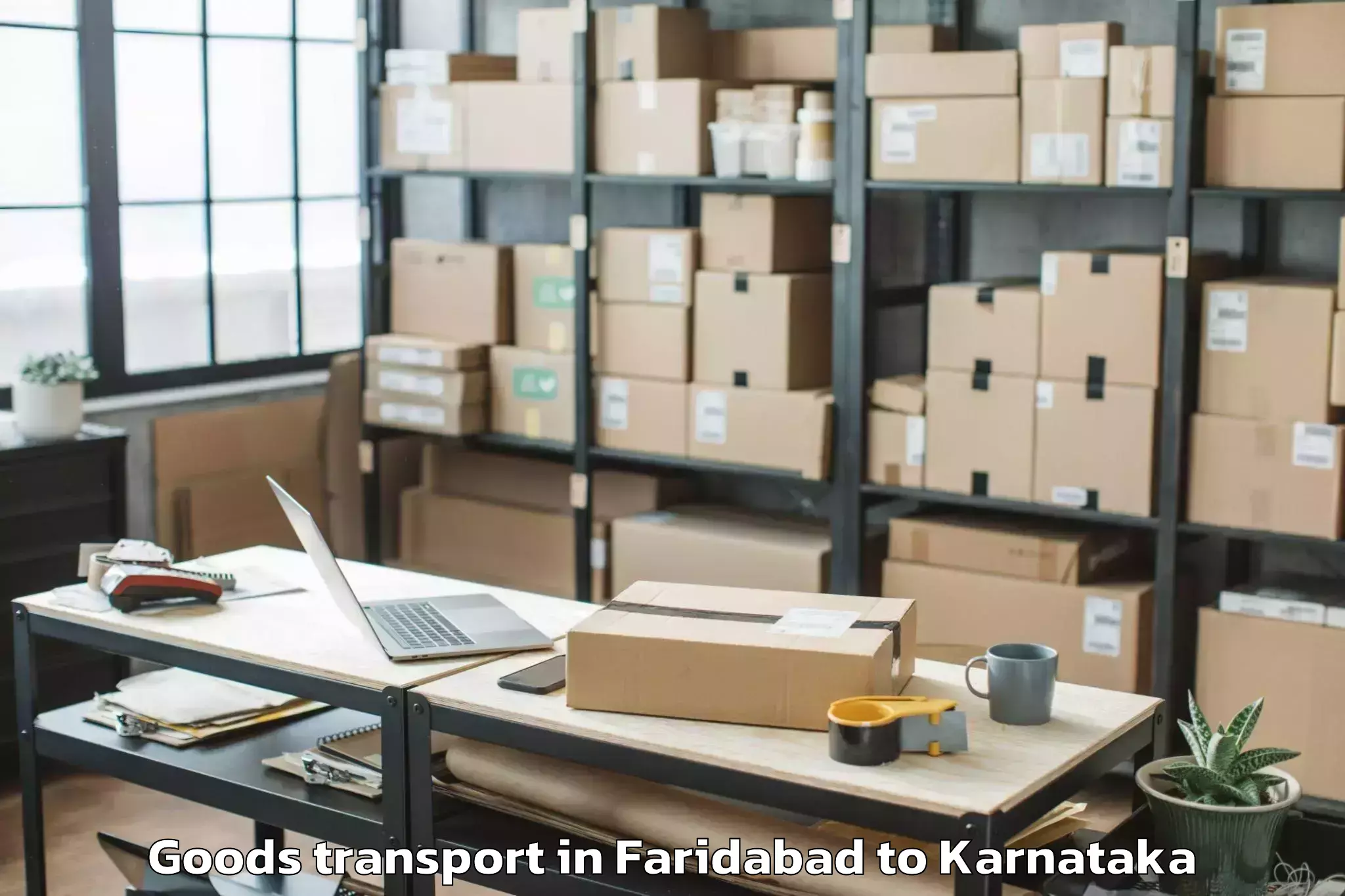 Professional Faridabad to Cmr University Bangalore Goods Transport